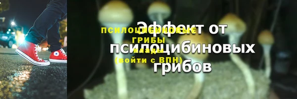 спиды Бородино