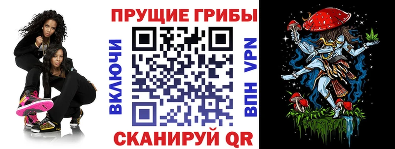 Псилоцибиновые грибы прущие грибы  blacksprut рабочий сайт  Ангарск  где найти наркотики 